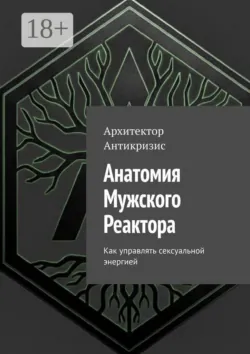 Анатомия мужского реактора. Как управлять сексуальной энергией - Архитектор Антикризис