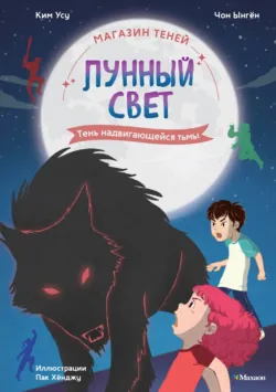 Магазин теней «Лунный свет». Книга 4. Тень надвигающейся тьмы - Ким Усу