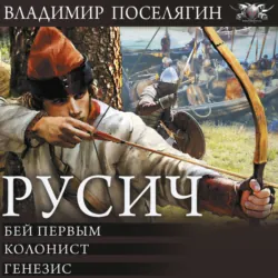 Русич (сборник) - Владимир Поселягин