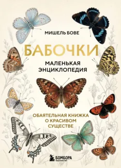 Бабочки! Маленькая энциклопедия. Обаятельная книжка о красивом существе - Мишель Бове