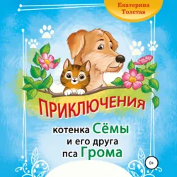 Приключения котёнка Сёмы и его друга пса Грома - Екатерина Толстая