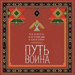 Путь воина. Вся мудрость Кастанеды в одной книге - Ингвар ван Синх