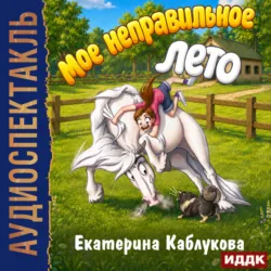 Мое неправильное лето - Екатерина Каблукова