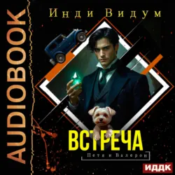Петя и Валерон. Книга 7. Встреча - Инди Видум