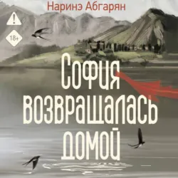 София возвращалась домой - Наринэ Абгарян