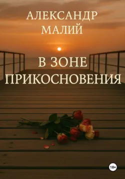 В зоне прикосновения - Александр Малий
