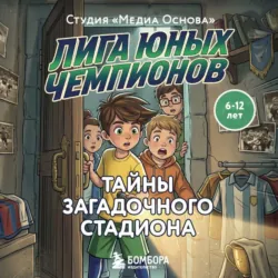 Лига юных чемпионов 3. Тайны загадочного стадиона - Студия «Медиа Основа»