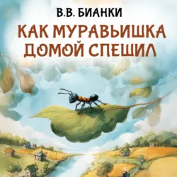 Как муравьишка домой спешил - Виталий Бианки
