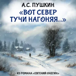 Вот север тучи нагоняя - Александр Пушкин