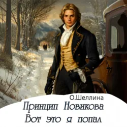 Принцип Новикова. Вот это я попал - О.Шеллина (shellina)