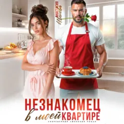 Незнакомец в моей квартире - Анастасия Иванова