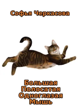 Большая Полосатая Одноглазая Мышь - Софья Решетникова