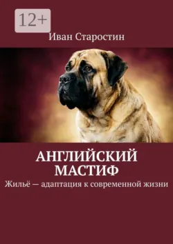 Английский мастиф. Жильё — адаптация к современной жизни - Иван Старостин