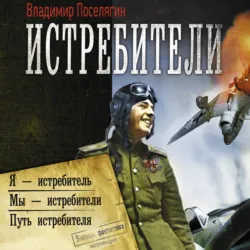 Истребители: Я – истребитель. Мы – истребители. Путь истребителя - Владимир Поселягин