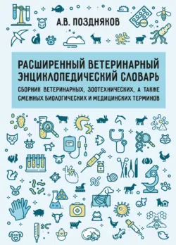 Музыкальные инструменты и музыка. Справочник. Часть 2, аудиокнига . ISDN74120871