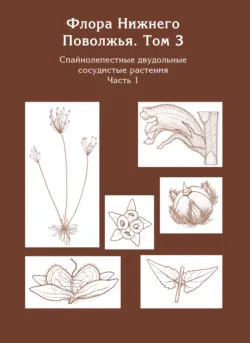 Флора Нижнего Поволжья. Том 3. Часть 1. Спайнолепестные двудольные сосудистые растения (Pyrolaceae – Campanulaceae) - Коллектив авторов
