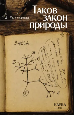 Лекция «Мозг и сон», аудиокнига . ISDN67841451
