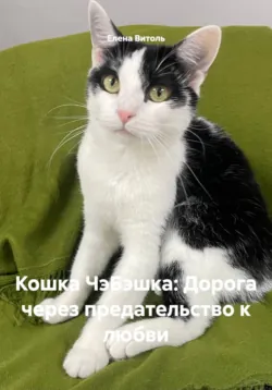 Кошка Шери: Спасение из-под облаков, аудиокнига . ISDN74255558