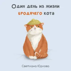 Один день из жизни бродячего кота - Светлана Юрлова