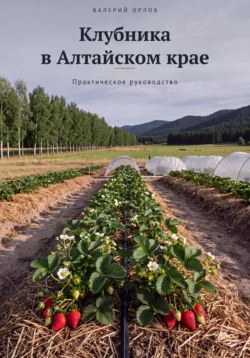 Клубника в Алтайском крае. Практическое руководство - Валерий Орлов