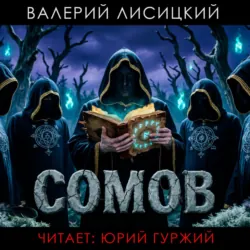 Сомов - Валерий Лисицкий