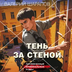 Тень за стеной - Валерий Шарапов