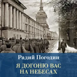 Я догоню вас на небесах - Радий Погодин