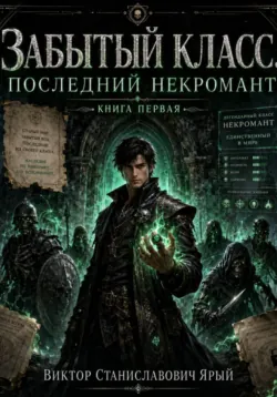 ЗАБЫТЫЙ КЛАСС. ПОСЛЕДНИЙ НЕКРОМАНТ - Виктор Ярый
