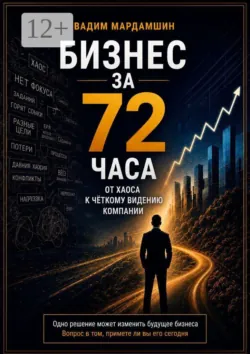 Бизнес за 72 часа. От хаоса к чёткому видению компании - Вадим Мардамшин