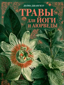 Травы для йоги и аюрведы - Долма Джангкху
