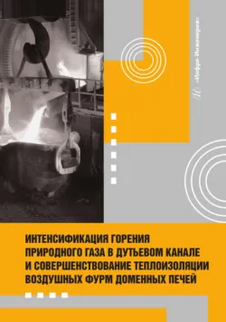 Интенсификация горения природного газа в дутьевом канале и совершенствование теплоизоляции воздушных фурм доменных печей - Александр Радюк