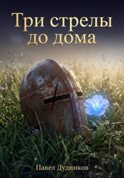 Три стрелы до дома - Павел Дудинков
