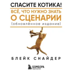 Как написать сценарий. Школа кино. Что скрывают курсы сценаристов, режиссеров, продюсеров, аудиокнига . ISDN67217751