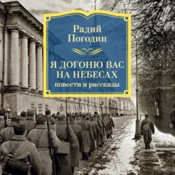 Я догоню вас на небесах - Радий Погодин