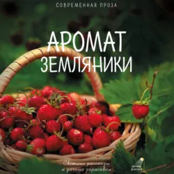 Аромат земляники. Светлые рассказы и дачные зарисовки. Современная проза - Александр Паулан