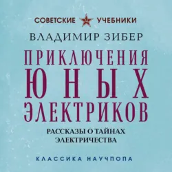 Приключения юных электриков. Рассказы о тайнах электричества - Владимир Зибер