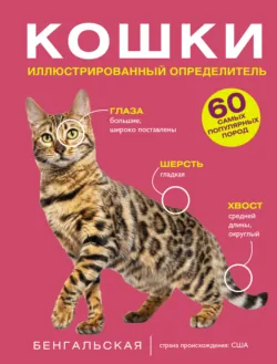 Кошки. 60 самых популярных пород. Иллюстрированный определитель - Анна Спектор