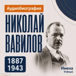 Николай Вавилов: аудиобиография - Искуственный интеллект
