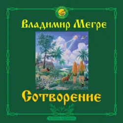 Сотворение - Владимир Мегре