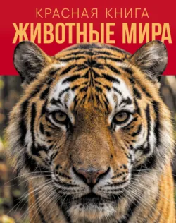 Красная книга России. От Байкала до Камчатки. Иллюстрированная энциклопедия школьника, аудиокнига . ISDN73779358