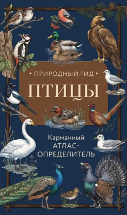 Красная книга России. От Байкала до Камчатки. Иллюстрированная энциклопедия школьника, аудиокнига . ISDN73779358