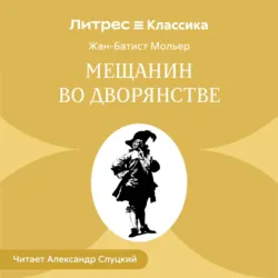 Несбывшееся мечта творца, аудиокнига . ISDN72710461