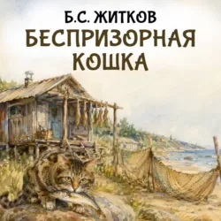 Беспризорная кошка - Борис Житков