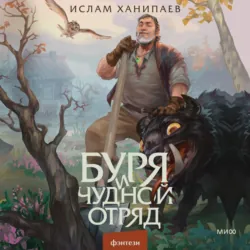 Буря и чудной отряд - Ислам Ханипаев
