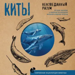 Главные развилки нашей эволюции. Приключения наших предков, длившиеся 66 миллионов лет, аудиокнига . ISDN74303316