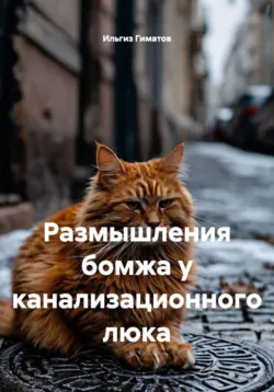 Размышления бомжа у канализационного люка - Ильгиз Гиматов