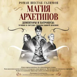 Магия архетипов. Дементоры и патронусы: темная и светлая стороны нашей психики - Роман Шестак-Галимов