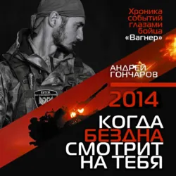 2014. Когда бездна смотрит на тебя - Андрей Гончаров