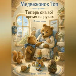 Аудиосказка «Шантюша из Дремарии» 6 серия, аудиокнига . ISDN74125464
