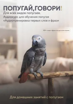 Цифровая схема для вышивки крестом «Сакура», аудиокнига . ISDN73858729